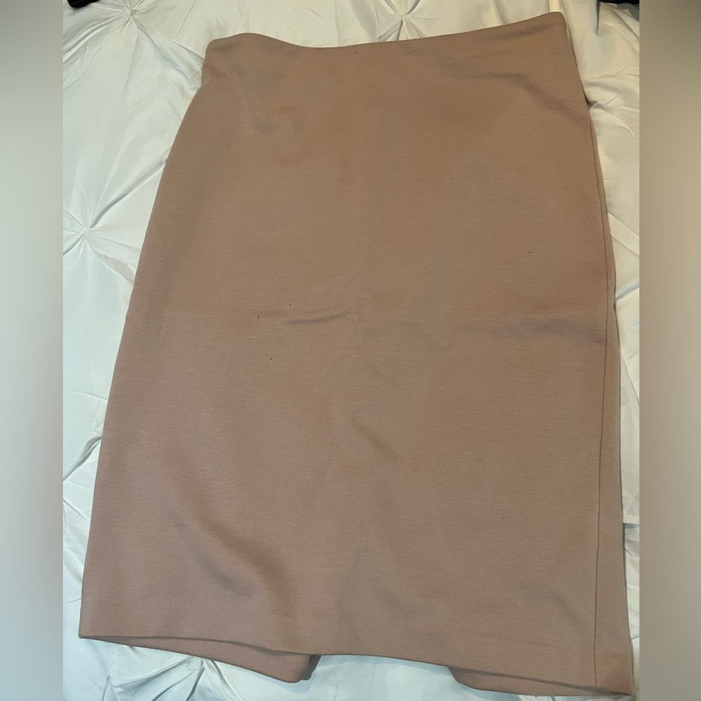 Blush Philosophy pencil skirt